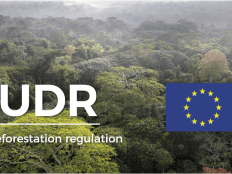 EUDR: A text so lightened… it has lost its sap