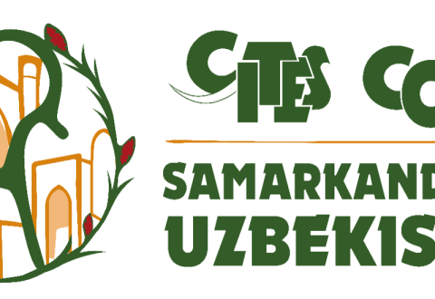 CITES COP20: in Samarkand, ATIBT represents the tropical timber industry alongside Central African countries