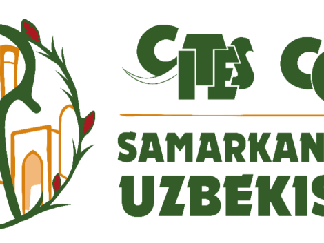 CITES COP20: in Samarkand, ATIBT represents the tropical timber industry alongside Central African countries