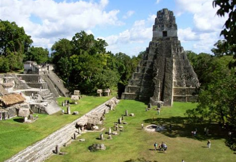 Guatemala : une avancée majeure sur les marchés internationaux du carbone forestier