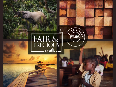 Fair&Precious turns 10: "Tropical timber, let's separate fact from fiction"