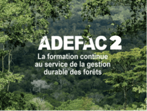 ADEFAC 2 recrute un(e) Chef(fe) de projet régional(e) basé(e) au Cameroun