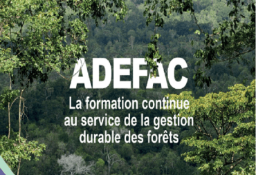 Première réunion du comité de pilotage – projet ADEFAC