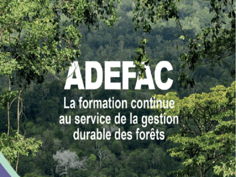 Première réunion du comité de pilotage – projet ADEFAC