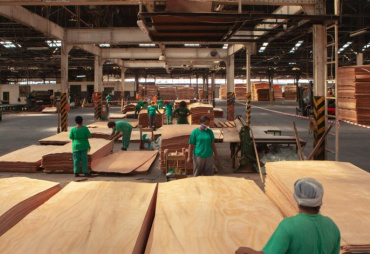 Un nouvel opérateur d’envergure dans l’industrie du bois gabonaise : l’African Equatorial Hardwoods