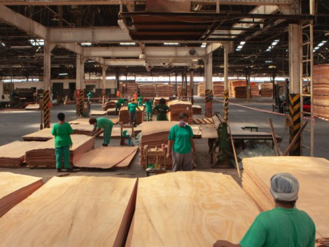 Un nouvel opérateur d’envergure dans l’industrie du bois gabonaise : l’African Equatorial Hardwoods