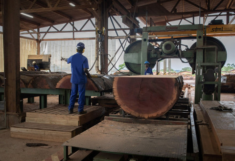ATIBT support to the timber sector in Cameroon