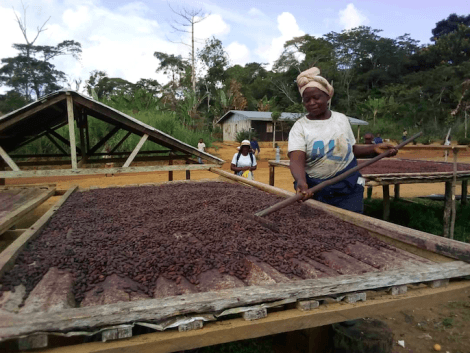 Commission agroforesterie et plantations 