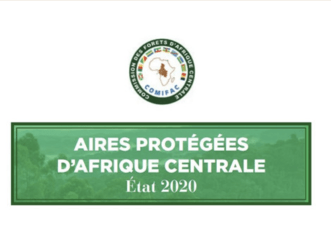 Appel à contribution/Questionnaire pour l’État des aires protégées et conservées d’Afrique centrale - EdAP 2025 