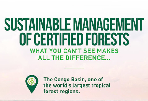 Sustainable Management of Certified Forests: what you can’t see makes all the difference…