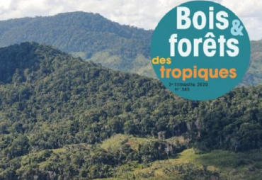 The journal Bois et Forêts des Tropiques (BFT) in free access