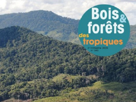 The journal Bois et Forêts des Tropiques (BFT) in free access