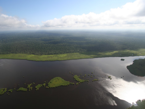 TotalEnergies and Compagnie des Bois du Gabon Join Forces to Develop a New Forest Management Model Combining Wood Production and Carbon Sinks