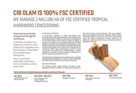  Congo CIB-Olam 100% certifié FSC