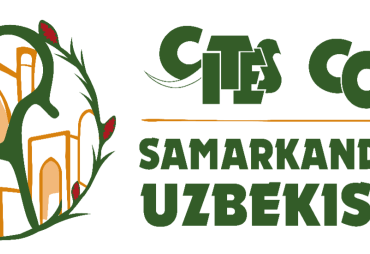 CoP20 de la CITES : à Samarcande, l’ATIBT porte la voix de la filière bois tropical avec les pays d’Afrique centrale