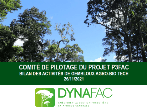 Le 5ème comité de pilotage du projet P3FAC s’est tenu le 25 novembre dernier, en visioconférence