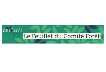 L’ATIBT relaye le « Feuillet du Comité Forêt » du CSTF de décembre 2020