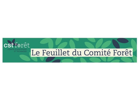 L’ATIBT relaye le « Feuillet du Comité Forêt » du CSTF de décembre 2020
