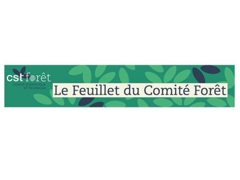 ATIBT relays the CSTF "Forest Committee Leaflet" of December 2020