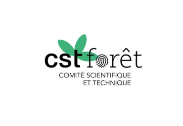 CST Forest: launch of two new projects