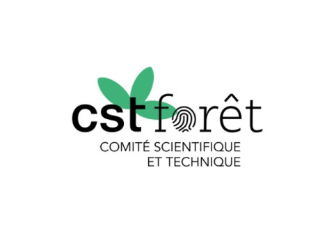 CST Forêt : démarrage de deux nouveaux chantiers