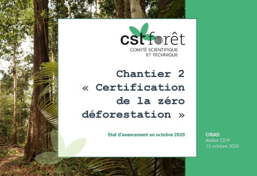 CST Forêt de l’AFD, point sur le chantier « Certification de la zéro déforestation 