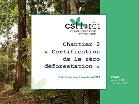 CST Forêt de l’AFD, point sur le chantier « Certification de la zéro déforestation 