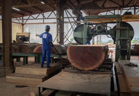 Au Cameroun, la priorisation des produits bois fabriqués localement dans les achats publics