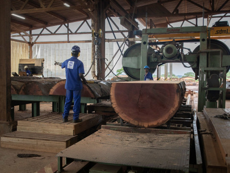 In Cameroon, the prioritization of local producers of wooden furniture in public procurement