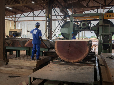 Au Cameroun, la priorisation des produits bois fabriqués localement dans les achats publics