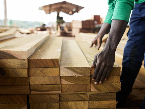 Métiers du secteur forêt-bois : peu connus, mais avec de nombreuses opportunités d’emplois - découvrez-les en images