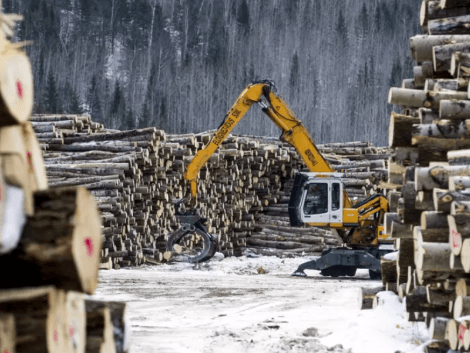 Conflit en Ukraine et sanctions contre la Russie : les conséquences sur le marché du bois
