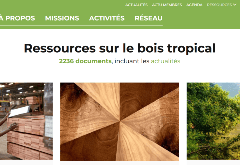 Retour sur les publications techniques 2025 à l’ATIBT