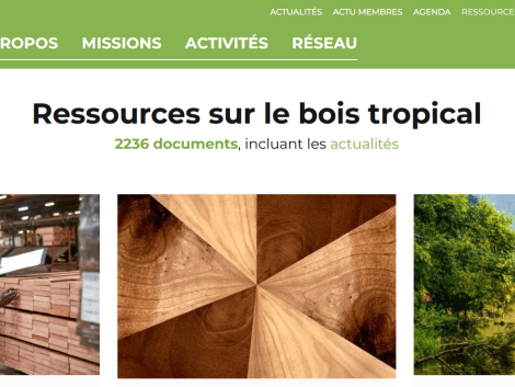 Retour sur les publications techniques 2025 à l’ATIBT