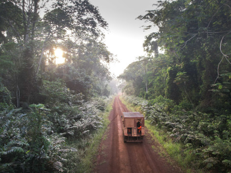The Fair&Precious clip on sustainable tropical forest management is available
