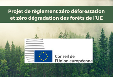 Règlement UE sur la déforestation : orientation générale adoptée par le conseil de l’UE