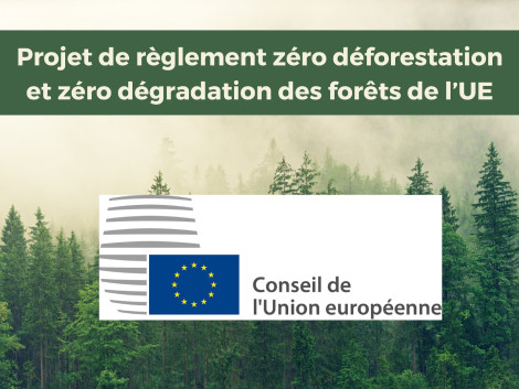 Règlement UE sur la déforestation : orientation générale adoptée par le conseil de l’UE