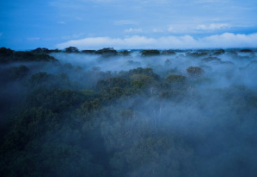 Access easily to all ATIBT digital tools and resources.