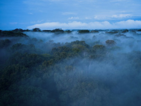 Access easily to all ATIBT digital tools and resources.