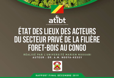 Erratum – Study Overview of the private sector in the Republic of Congo