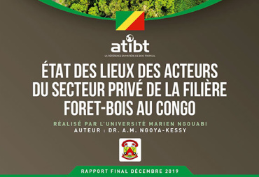 Erratum – Study Overview of the private sector in the Republic of Congo