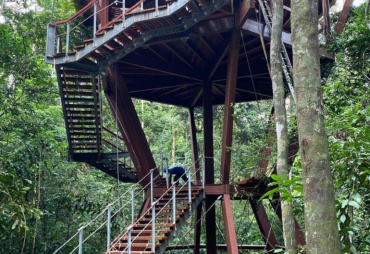 In Gabon, a classroom built in padouk in the trees!