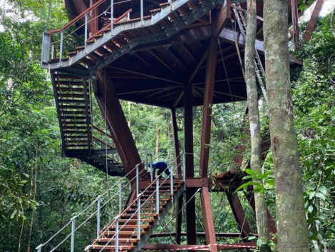 In Gabon, a classroom built in padouk in the trees!