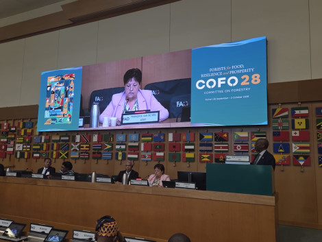 World Forest Week in Rome: ATIBT joins discussions on restoration and the forest-based bioeconomy