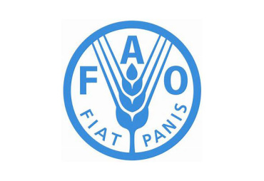 FAO - Global Forest Resources Assessment 2020 - FRA 2020