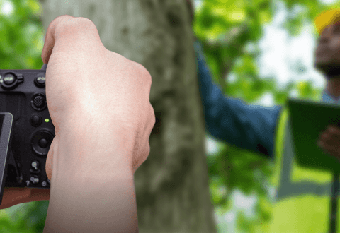 Concours photo FAO – Journée internationale des forêts 2026