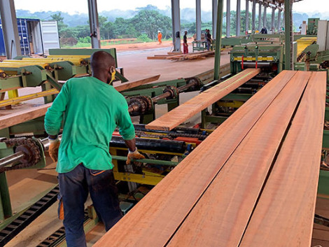 Sawmill founded on sustainable timber supply