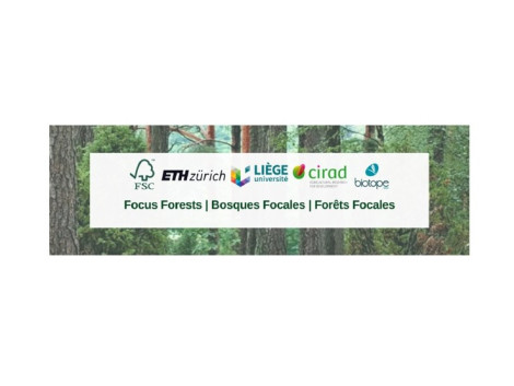 Le FSC propose très prochainement deux webinars sur les Paysages Forestiers Intacts