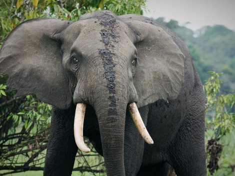 Business backs biodiversity