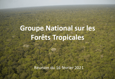 Report of the February 16, 2021 meeting of the National Group on Tropical Forests (GNFT)
